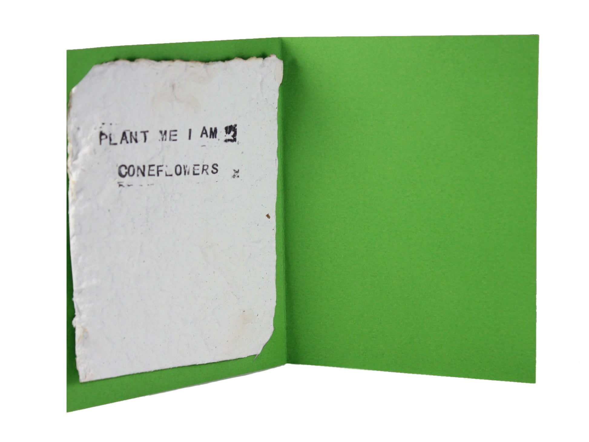 Interior of seed paper card showing seed paper that says "PLANT ME I AM CONEFLOWERS"