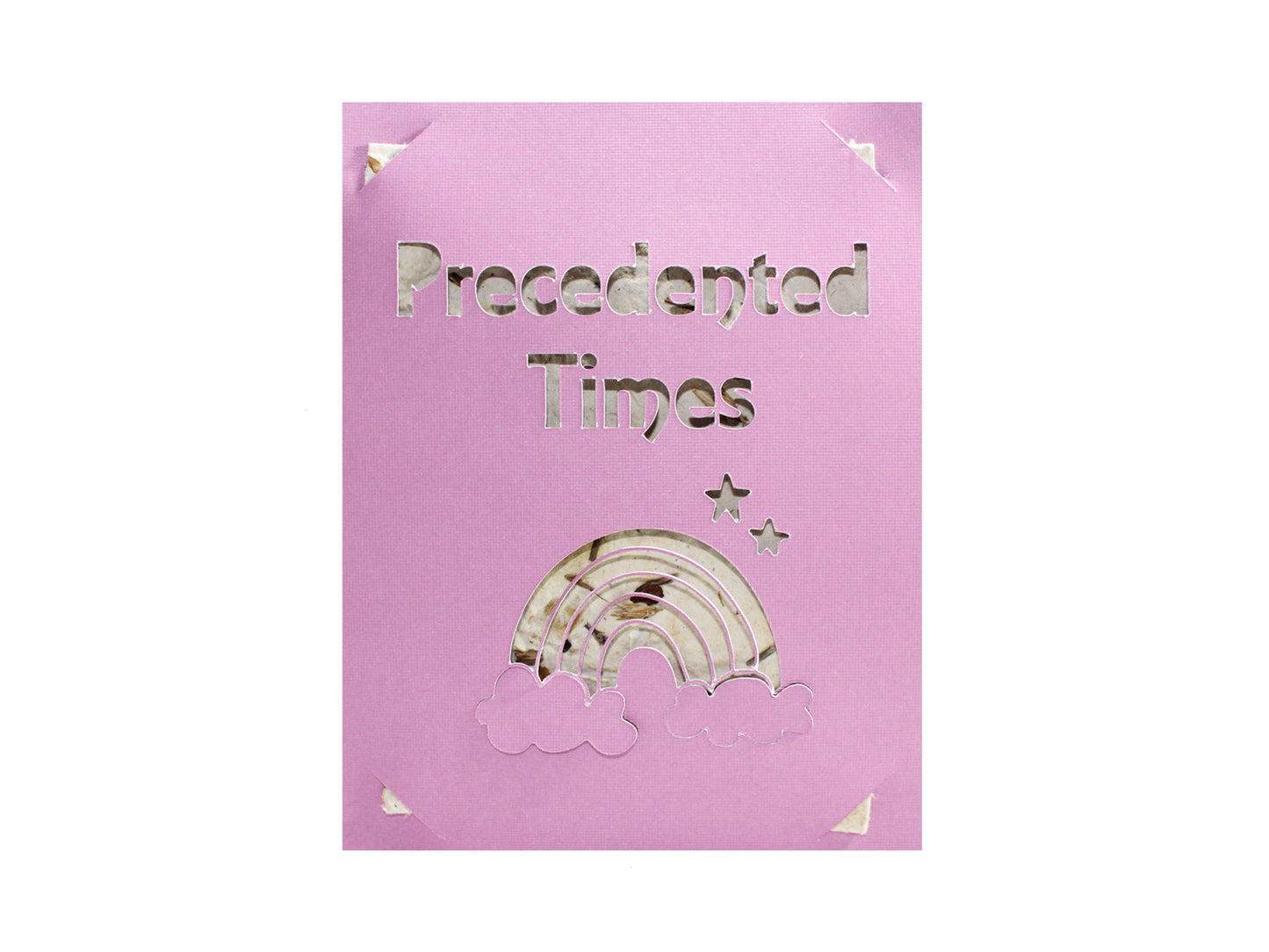 Precedented Times card, pack of 5 cards with plantable seed paper and envelopes