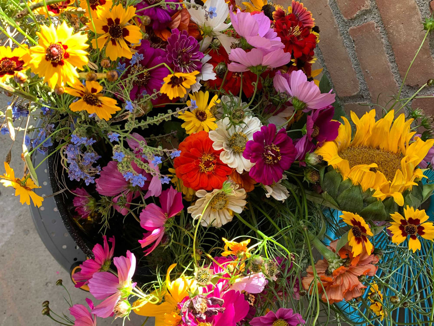 Wildflower bouquets for local pickup