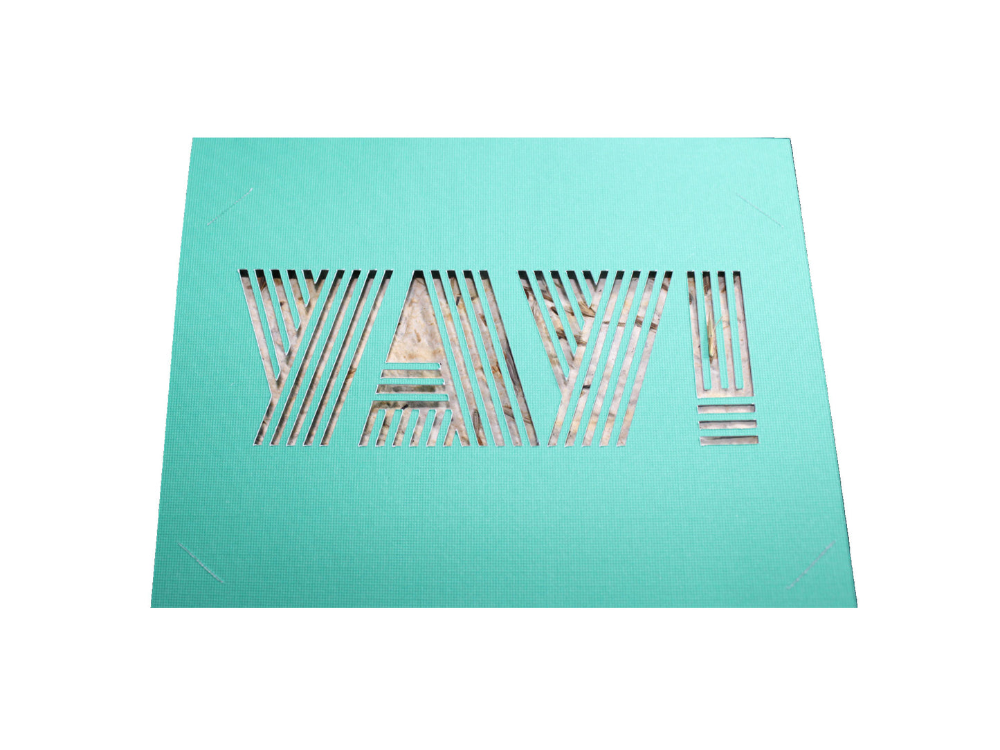 YAY! card, pack of 5 cards with plantable seed paper and envelopes
